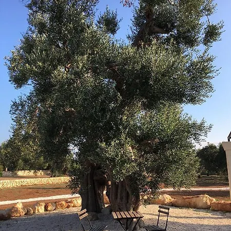 Boutique Masseria Sottomasi * Savelletri