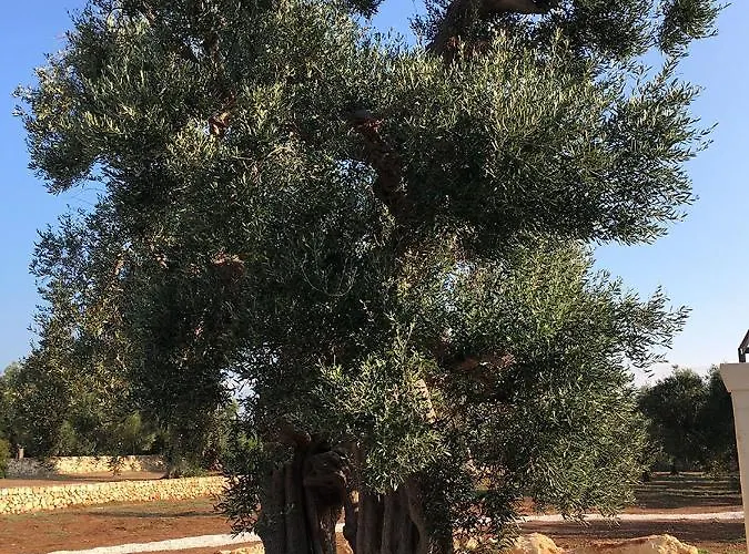 Boutique Masseria Sottomasi * Savelletri