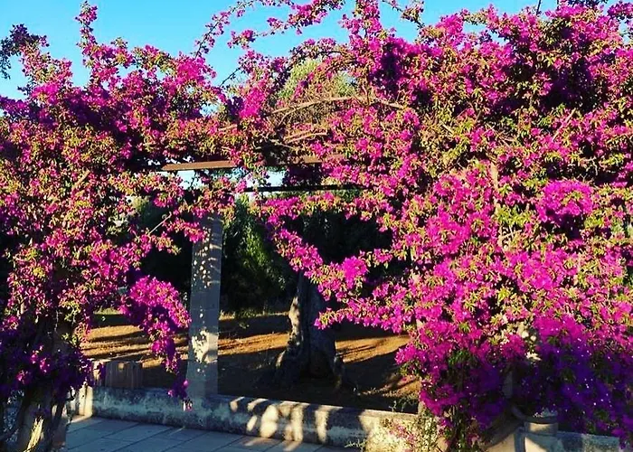 Boutique Masseria Sottomasi Resort *