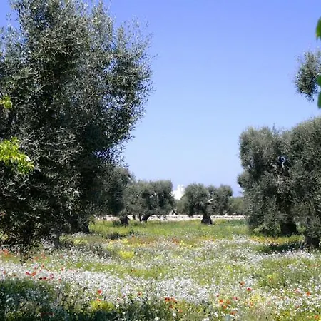 אתר נופש Boutique Masseria Sottomasi Savelletri