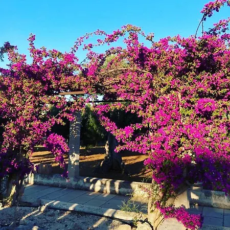 Boutique Masseria Sottomasi אתר נופש *