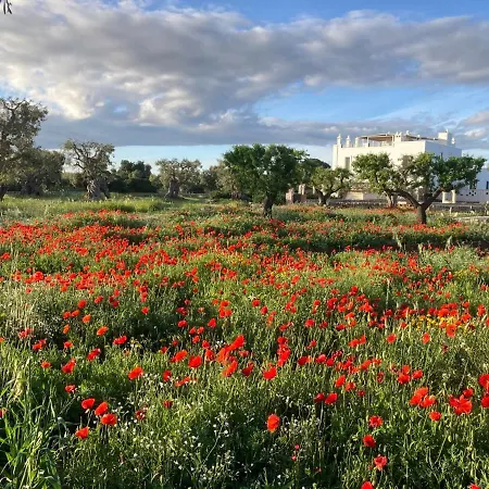 Resort Boutique Masseria Sottomasi