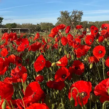 Boutique Masseria Sottomasi Resort Savelletri