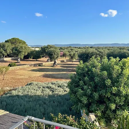Resort Boutique Masseria Sottomasi *