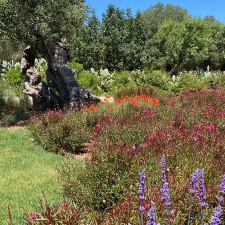 Boutique Masseria Sottomasi Resort