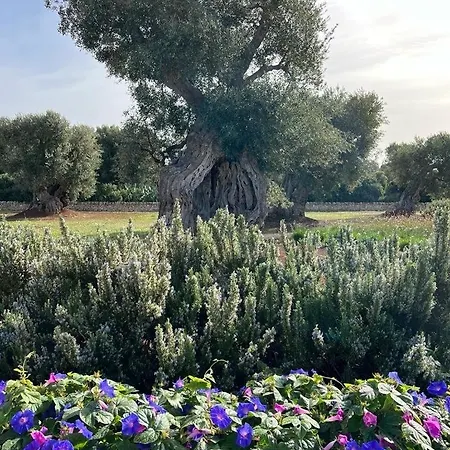 Boutique Masseria Sottomasi Resort