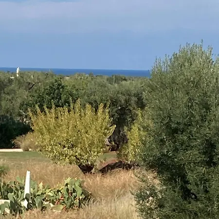 Boutique Masseria Sottomasi Resort *